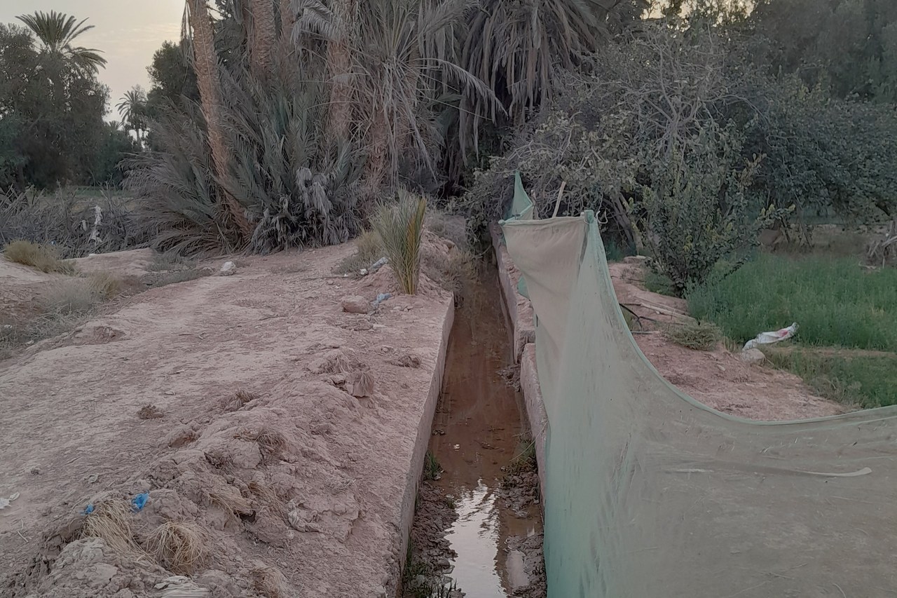 Water flowing along a masraf, the channel that carries irrigation water through the oasis.