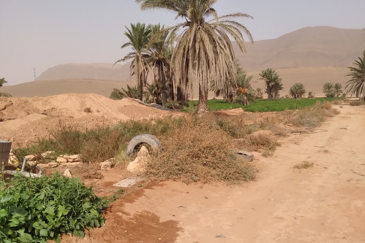 The mountains beyond the oasis, seen from a different angle.