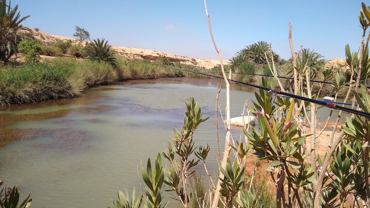 The oued — the river ridge — looking out of Tighmert towards the desert.