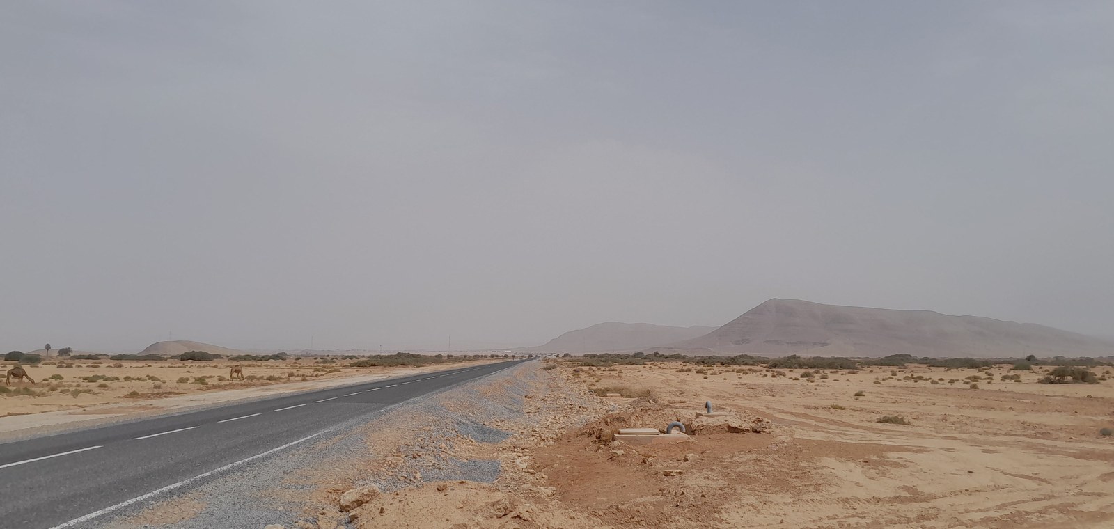 The road through open country in southern Morocco.